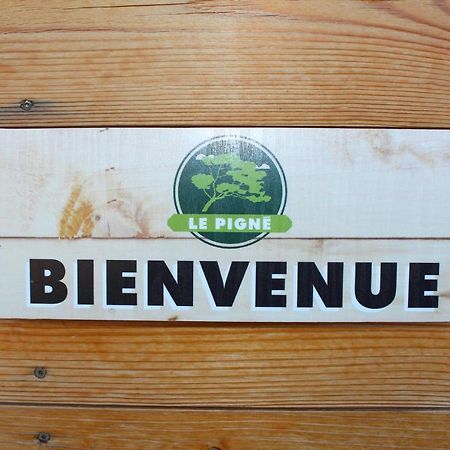 Gite Le Pigne Curbans 外观 照片